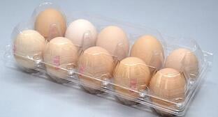 plastic egg carton