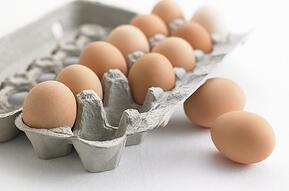 paper egg carton