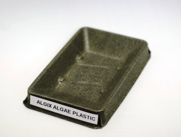 thermoformed algae plastic